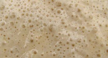 Let Yeast Do the Heavy Lifting