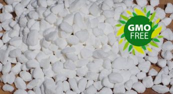 GMO-Free Belgian Pearl Sugar